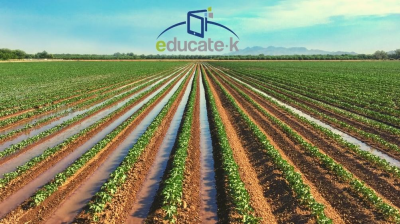 Manejo eficiente del Riego por Gravedad